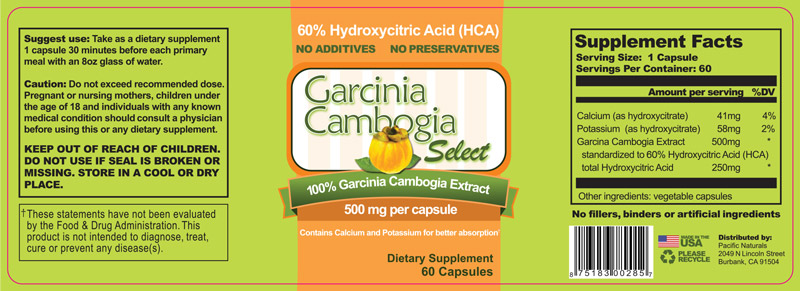 Garcinia-Cambodia-Select